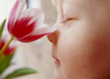 鼻部按摩 巧治過敏性鼻炎