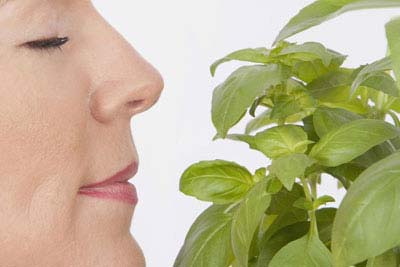 怎么預(yù)防鼻竇炎復(fù)發(fā)?(圖) 怎么預(yù)防鼻竇炎復(fù)發(fā)?(圖)